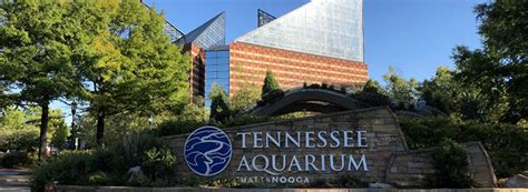 Tennessee Aquarium Expands Use Of Zims Species360