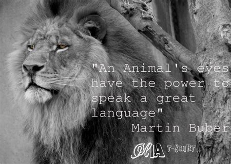 An Animals Eyes Have The Power To Speak A Great Language Mbuber Mia
