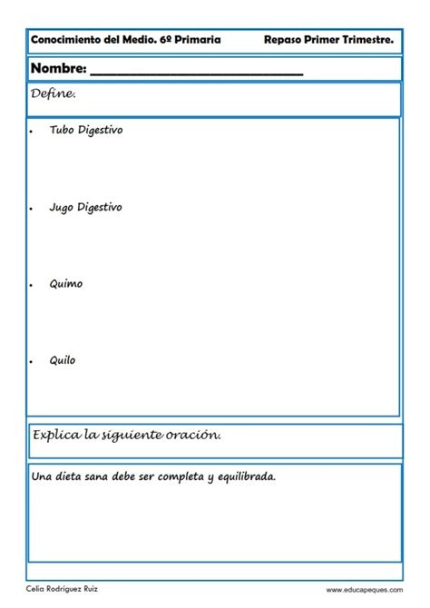 Fichas De Conocimiento Del Medio Sexto De Primaria En Fichas