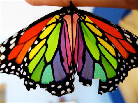 Rainbow Butterfly By Ziara13 On Deviantart