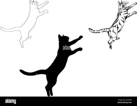 salto de gato diferentes opciones gráficas imagen gatos animales