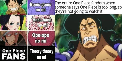 One Piece 9 Memes That Sum Up The Anime