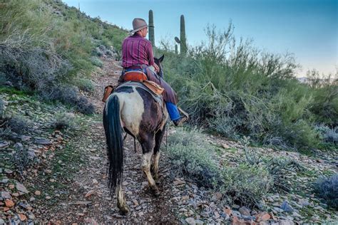 Trail Rides Horseback Riding Phoenix Arizona Blog