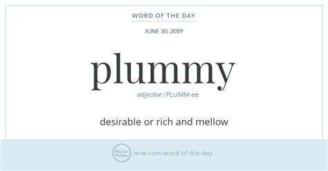 Word Of The Day Plummy Merriam Webster