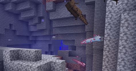 Minecraft Axolotls Everything You Need To Know About Breeding Taming