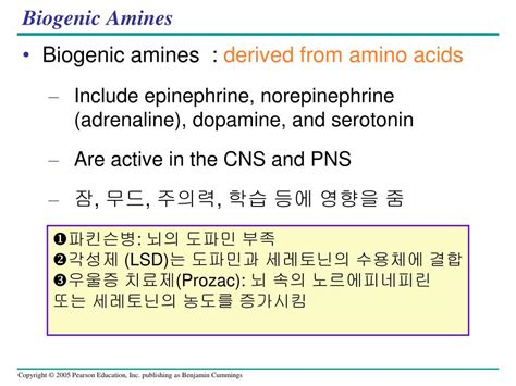 Acetylcholine, serotonin, histamine, and the catecholamines epinephrine, norepinephrine, and dopamine. PPT - Chapter 48 PowerPoint Presentation, free download - ID:5955712