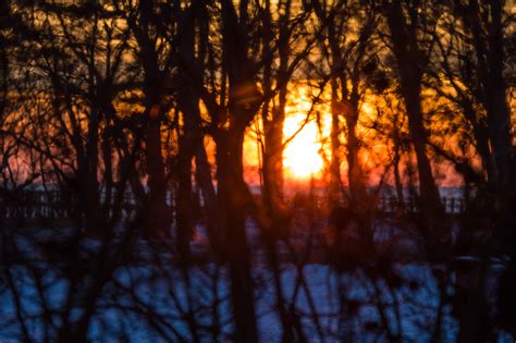 Wallpaper Sunlight Forest Sunset Nature Reflection Snow Winter