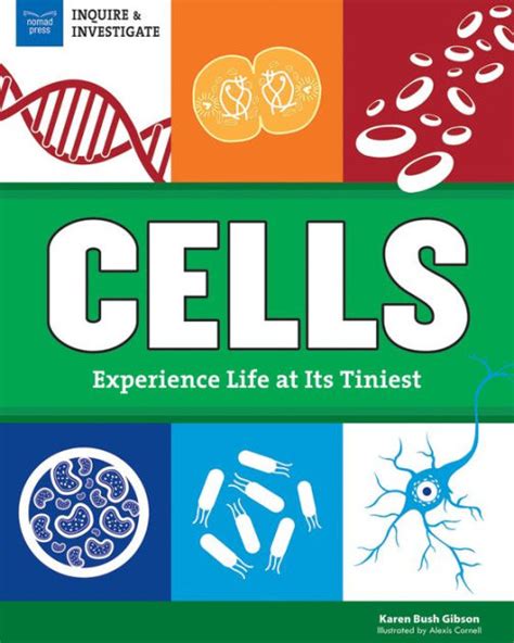 Cells Experience Life At Its Tiniest By Karen Bush Gibson Alexis