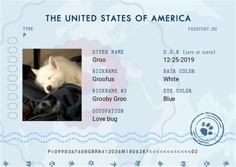 groo pet passports cats dogs passport passports funny