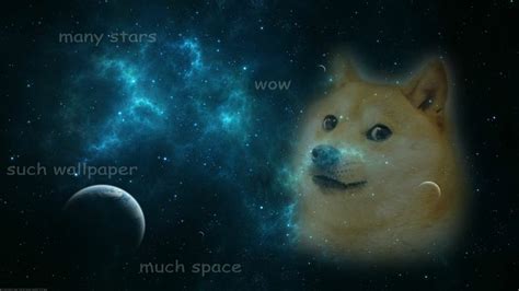 We have 87+ amazing background pictures carefully picked by our community. Doge Meme Wallpaper - WallpaperSafari