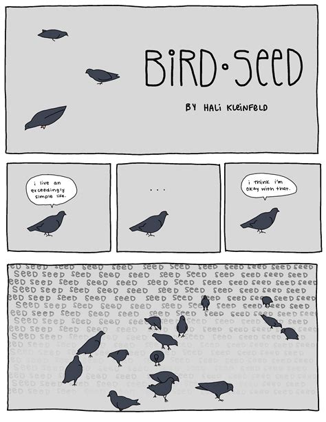 Bird Seed F Newsmagazine