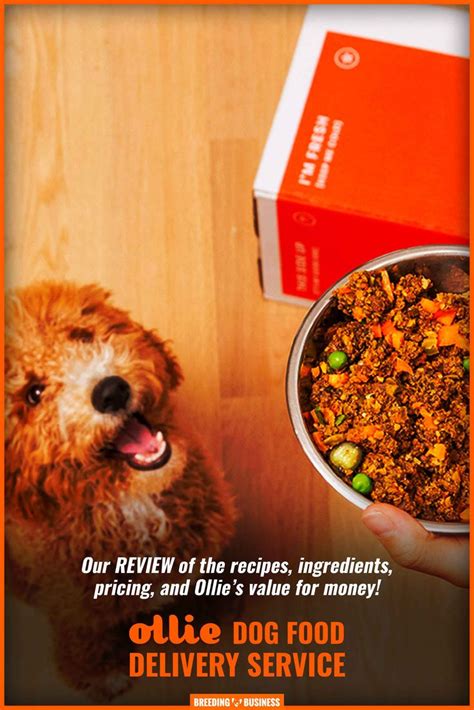 Join the ollie pack and get 50% off your first box and 25% off your next two orders of fresh, healthy food for your pup. Ollie Dog Food Review - Price, Delivery, Recipes, Benefits ...