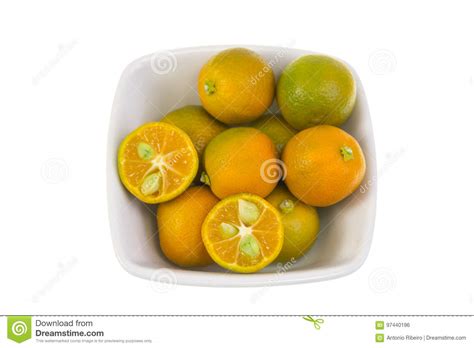 Calamondin Citrus Fruit Stock Photo Image Of Lime Bowl 97440196