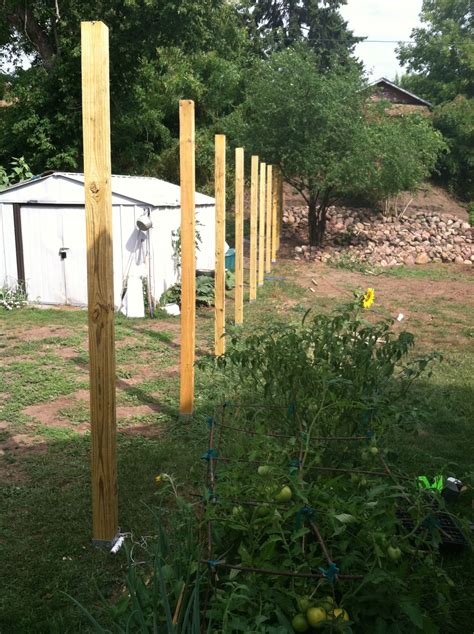 Maybe you would like to learn more about one of these? Ana White | My cedar fence--thank you! - DIY Projects