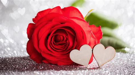 Wallpaper Red Rose Love Hearts Hazy Romantic 5120x2880 Uhd 5k