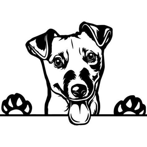Jack Russell Terrier 41 Peeking Paws Dog Breed Pedigree Etsy