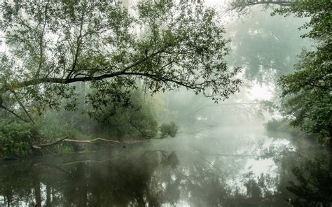 1920x1200 Nature Landscape River Mist Water Reflection Trees Morning