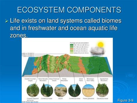 Soil And Biomes And Cycles Ppt