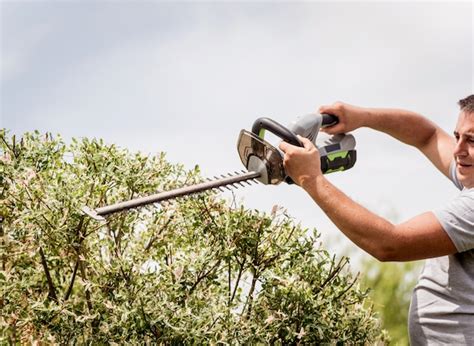 Premium Photo A Gardener Trimming Trees With Hedge Trimmer