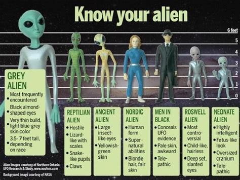 pin by abby normal on important grey alien nordic aliens types of aliens