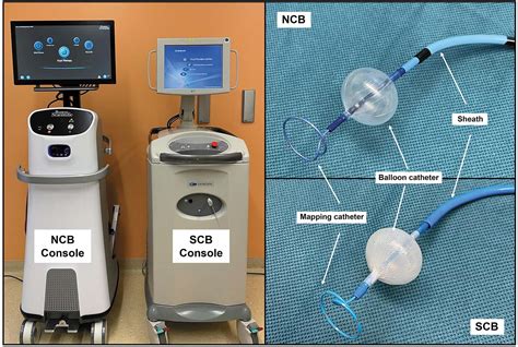 Two Competing Cryoballoon Technologies For Single Shot Pulmonary Vein