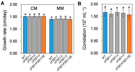 Jof Free Full Text A Novel Effector Fse Regulates The