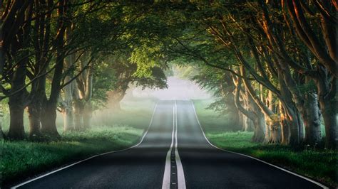 Wallpaper Road Misty Forest Spring Path 4k Nature