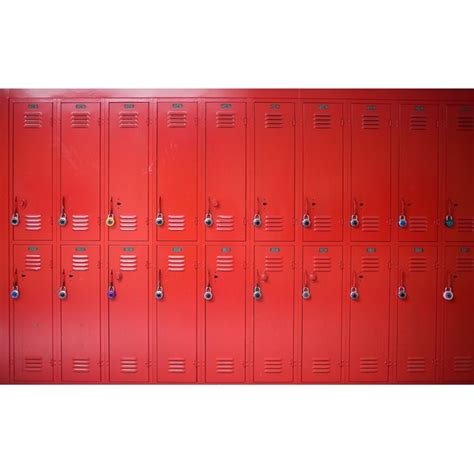 Pros And Cons Of School Locker Searches Synonym