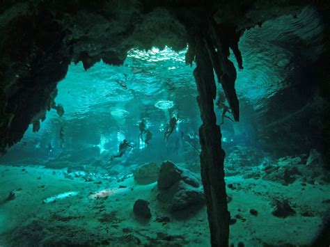 Cenotes Diving In Yucatan Mexico Best Cave And Cavern Dives In The