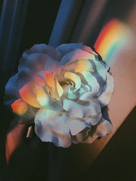 Pin By Kasandra On Møødyxx Flower Aesthetic Rainbow Aesthetic