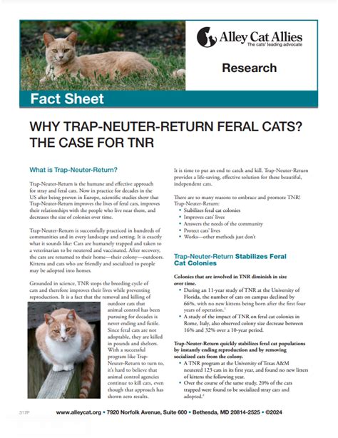 Why Trap Neuter Return Feral Cats And What Is Tnr Alley Cat Allies