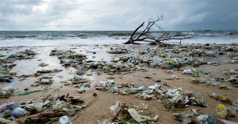 Coca Cola Headlines The 20 Corp That Produce The Most Ocean Pollution