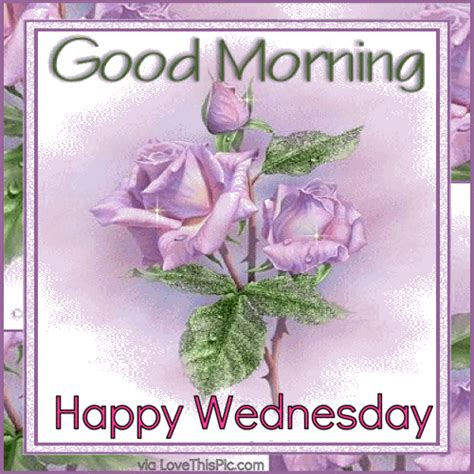 Good Morning Happy Wednesday Flower  Quote Pictures Photos And