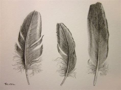 See more ideas about drawings, easy drawings, animal drawings. Original pencil drawing Sea bird feather | Etsy | Pencil ...