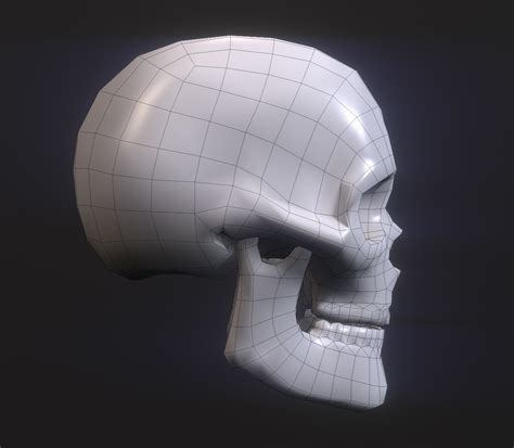 Artstation Low And Hi Poly Skull Resources