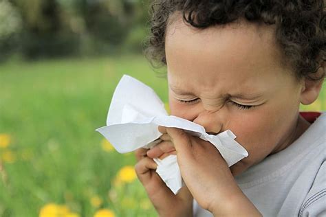 Allergies Vs Asthma In Kids Telepeds Online Pediatrics