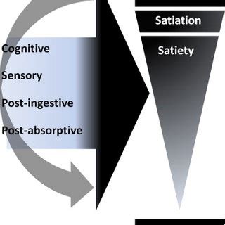 (PDF) Optimising foods for satiety