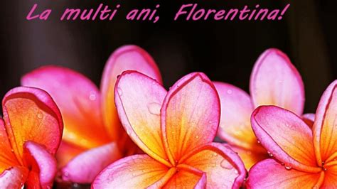 Sărbătoarea floriilor este una dintre cele mai importante din an şi deschide perioada sărbătorilor de. MESAJE DE FLORII. Urări pentru cei dragi, cu ocazia ...