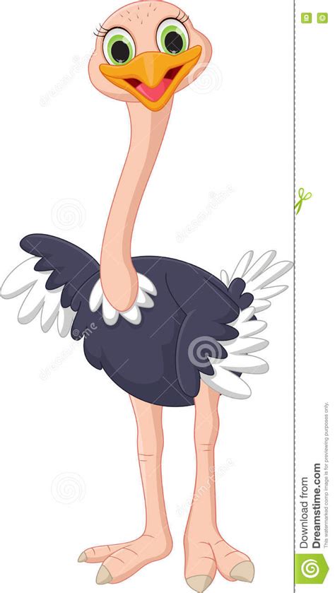 Cute Ostrich Cartoon Stock Vector Illustration Of Feather 73438385