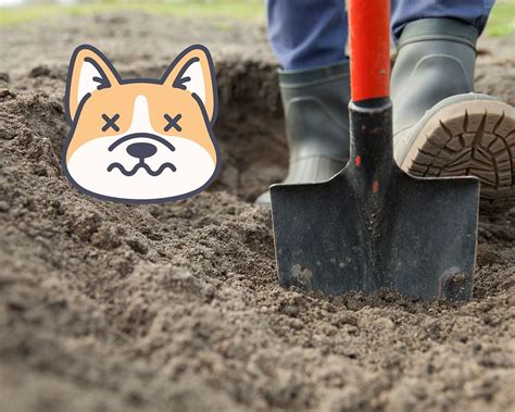 Can U Bury A Dog In Your Garden