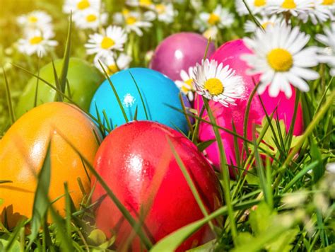 Today, however, pork has replaced these as the main meat for their celebrations. What You Didn't Know About Easter Traditions
