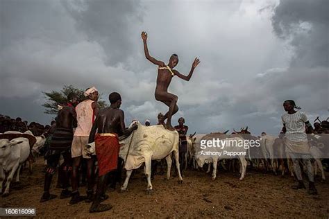 Bull Jumping Photos Et Images De Collection Getty Images