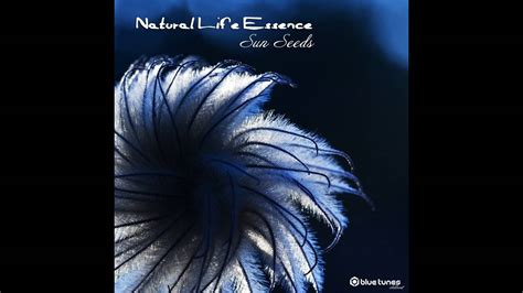 Natural Life Essence Magical Plant Hallucinogen Spores Mix