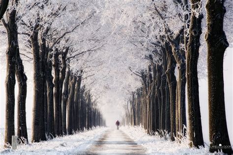 25 Spectacular High Quality Images Of A Snowy Winter