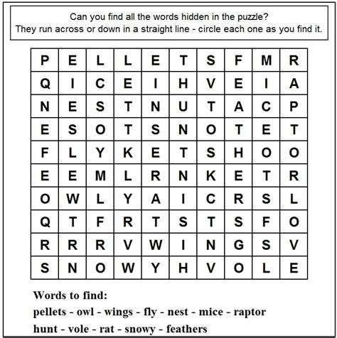 Adventures With Mel And Syd Owl Word Search