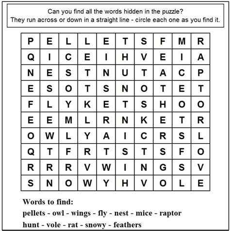 adventures with mel syd owl word search