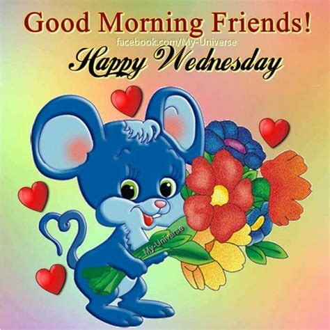 Good Morning Friends Happy Wednesday Pictures Photos And Images For
