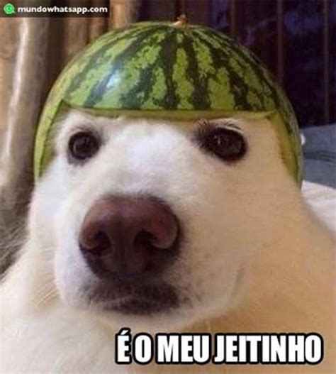 A Dog With A Watermelon Hat On Its Head