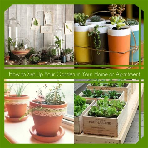 Choosing the plants for your container garden is up to you can start your vegetable container garden at the same time you would plant in the garden. How to Set Up Your Garden in Your Home or Apartment | Hometalk