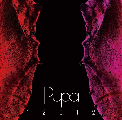 12012 12012 Best Album Pupa 2007~2010 Cddvd J Music Italia